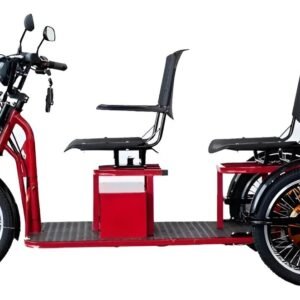 Smart Brasil Triciclo de 2 Lugares 1600W eléctrico rojo
