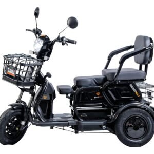 Triciclo Elétrico Cadeira Recarregável Adulto Idoso 600w